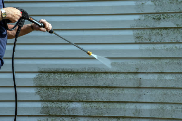 Best Pre-Holiday Cleaning  in Wallace, FL
